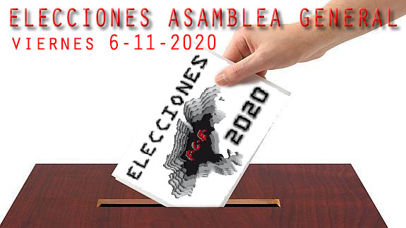 20201106 Elecciones FCE