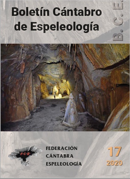 20210324 Portada BCE 2020